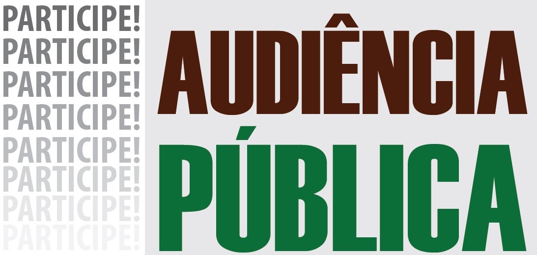 2020121_audiencia-publica