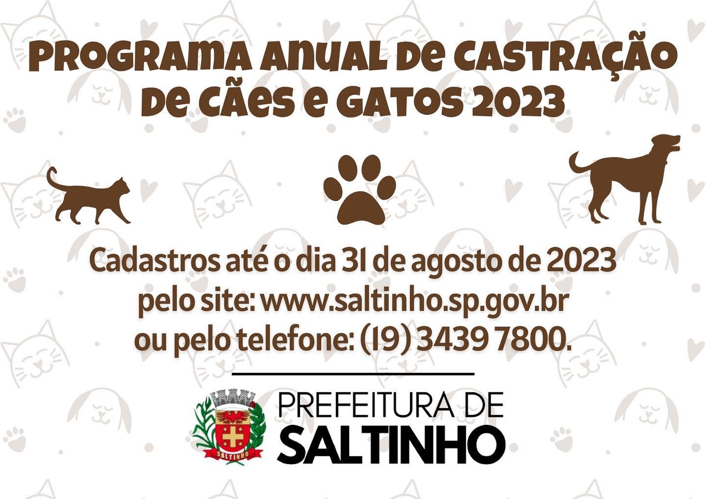 Site Oficial do Município de Saltinho